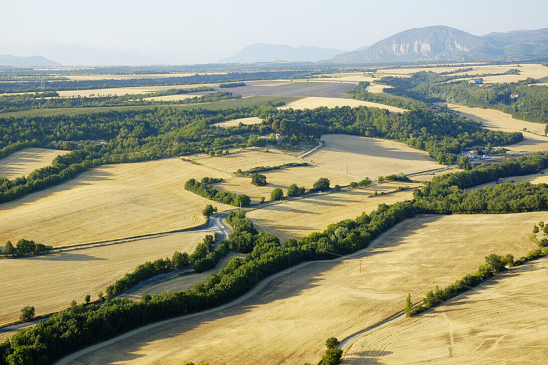 Aerial of the Valensole plateau and wheat fields. Alpes de Haute-Provence, Provence, France