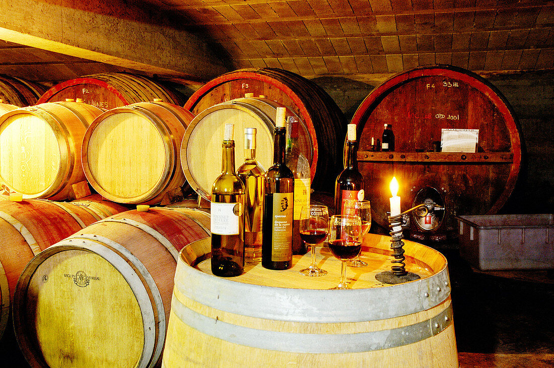 Domaine de la Royère wines. Oppède, Luberon region. Vaucluse, Provence, France