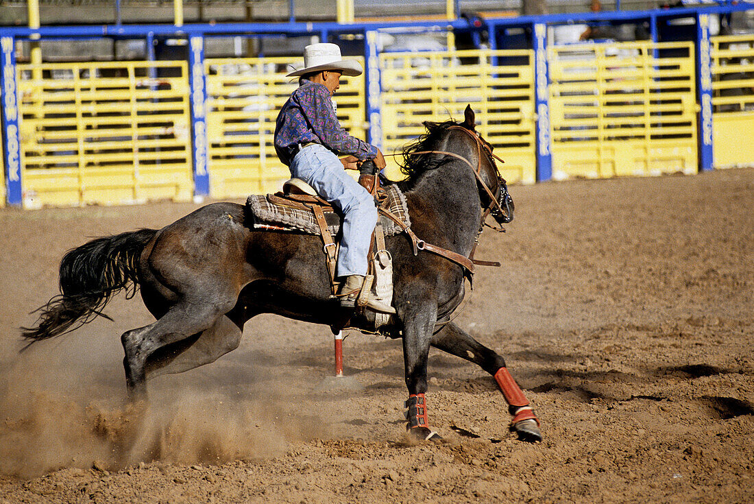 A rodeo during the yearly navajo fair in Window Rock, Navajo nation capital. Arizona. United states (USA)