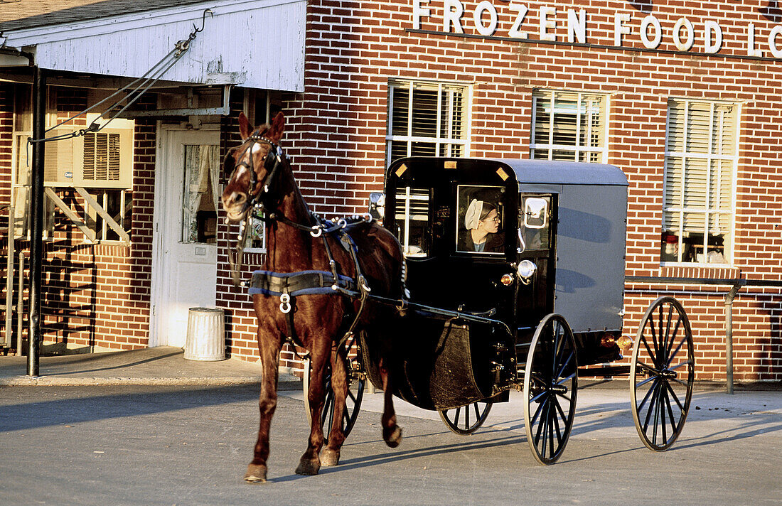 Amish buggy in Gordonville. Lancaster County, Pennsylvania. USA