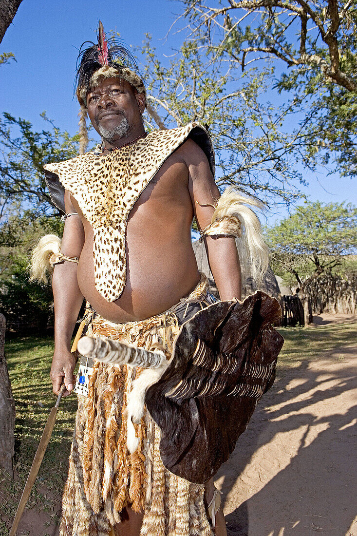 The Chief Biyela dressed with his ceremonial leopard skin. Simunye zulu village where visitors can be accomodated in zulu style. Kwazulu-Natal province. South Africa