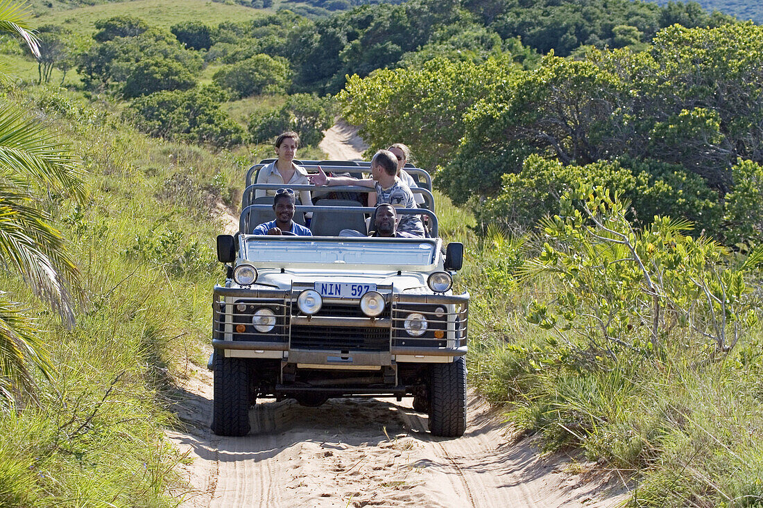 Tourists in 4 wheels drive.The luxurious Rocktail Lodge located in a private park by the seaside near Saint Lucia Park. Kwazulu-Natal province. South Africa