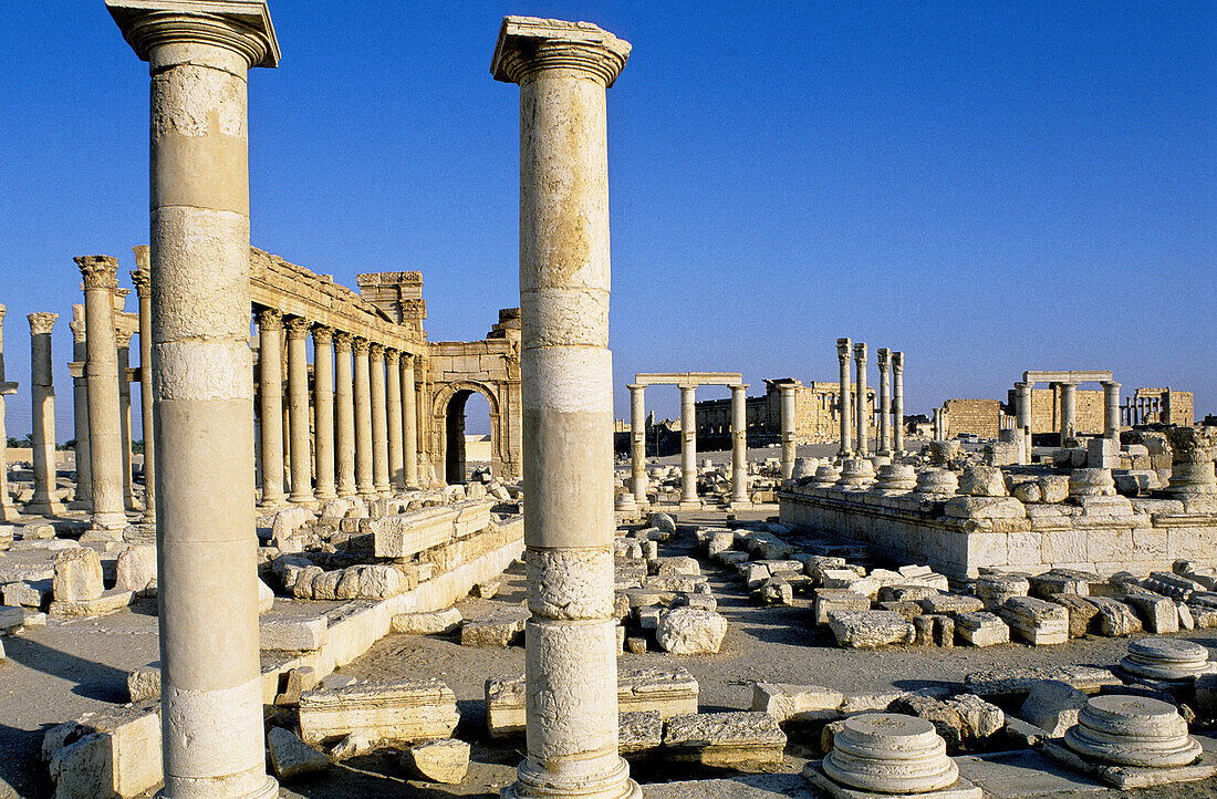 Ruins of the ancient roman city in the Palmyra oasis. Syria