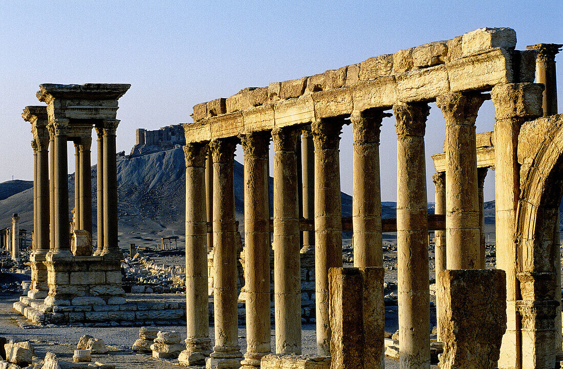 The Great columnade and the arabic castle at back. Ruins of the ancient roman city in the Palmyra oasis. Syria