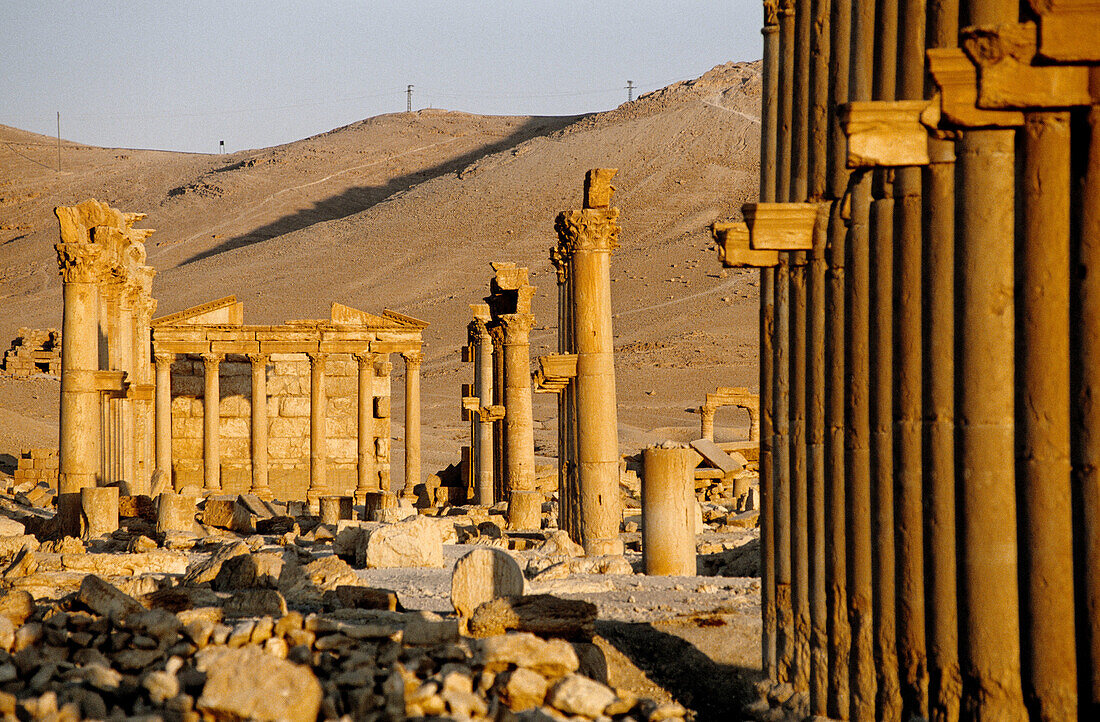 Ruins of the ancient roman city in the Palmyra oasis. Syria