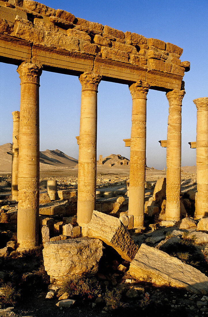 Ruins of the ancient roman city in the Palmyra oasis. Syria