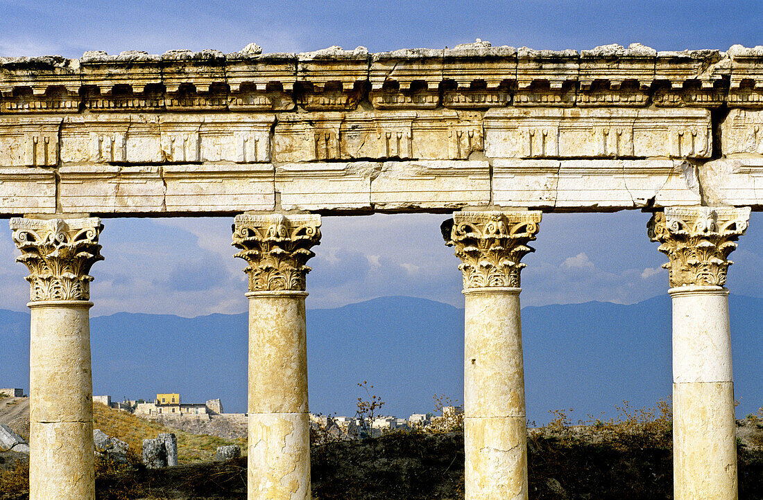 Ruins of the ancient roman city of Apamee. Syria