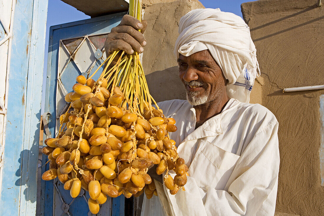 Freshly cropped dates, Nubian village of Soleb. Upper Nubia, ash-Shamaliyah state, Sudan