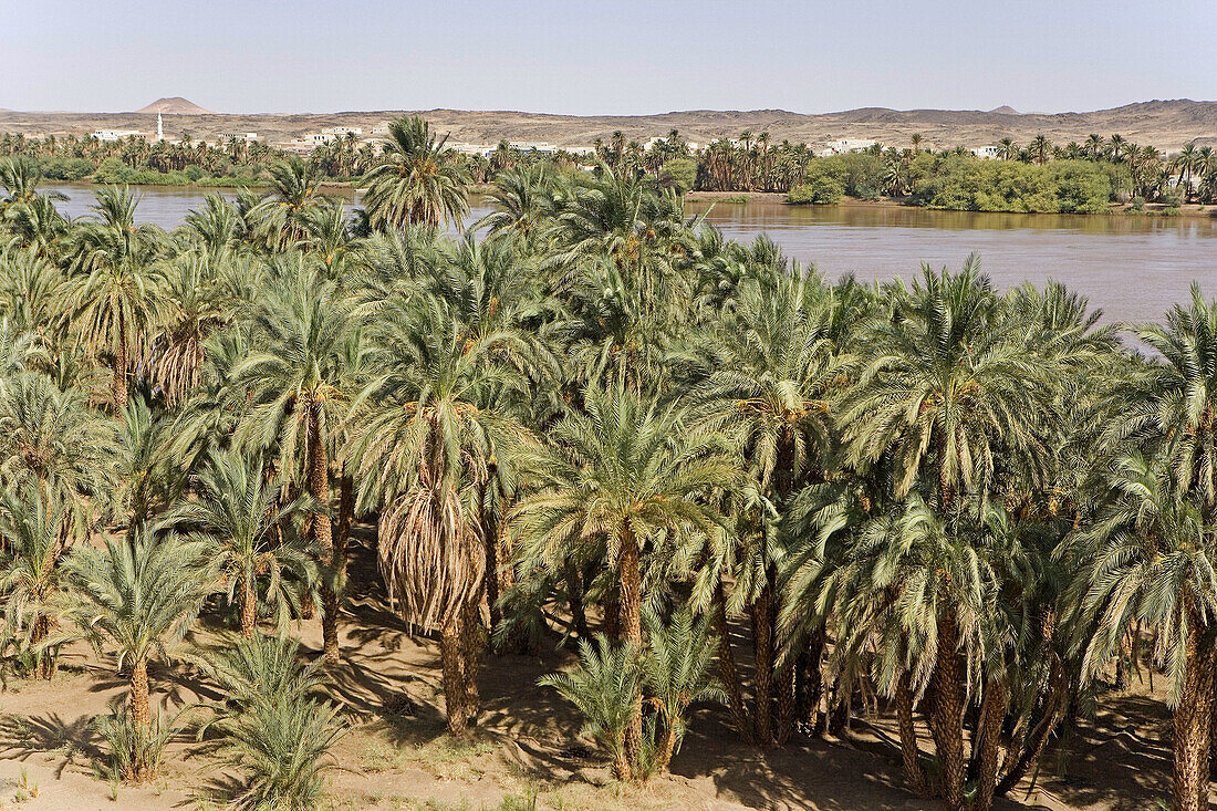 Nile River near Sesebi. Upper Nubia, Sudan