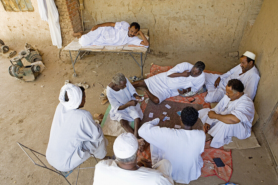 Men playing cards in the village of Dalgo. Upper Nubia, ash-Shamaliyah state, Sudan