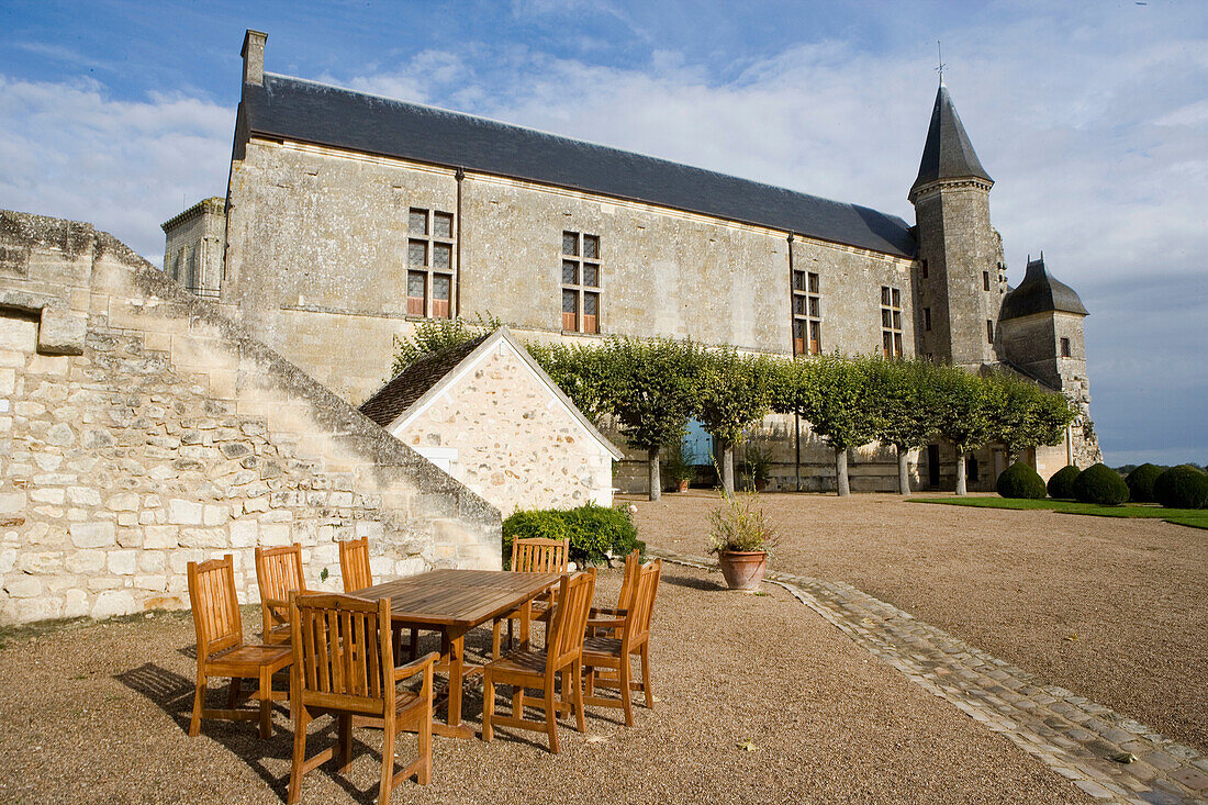 Ruins of the medieval stronghold. Grand-Pressigny. Indre-et-Loire (37). Touraine. France