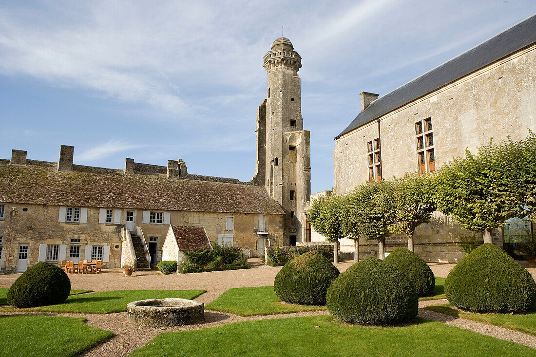 Ruins of the medieval stronghold. Grand-Pressigny. Indre-et-Loire (37). Touraine. France