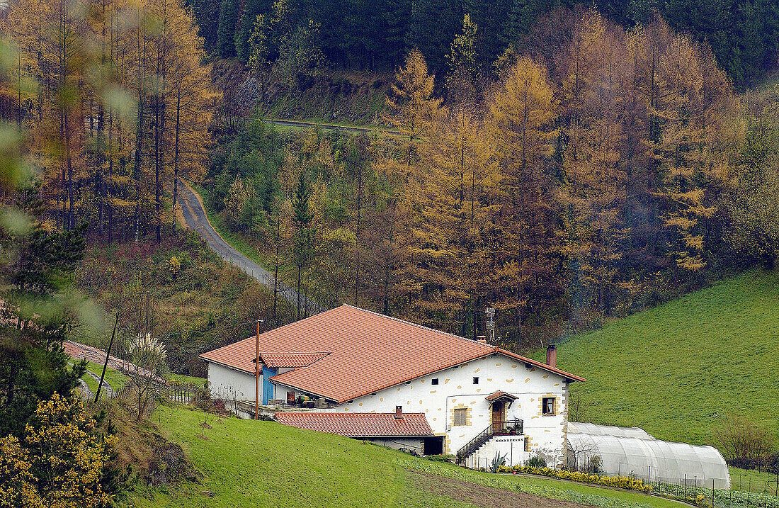 Country house. Barrendiola. Brinkola. Legazpi, Guipúzcoa. Euskadi, Spain