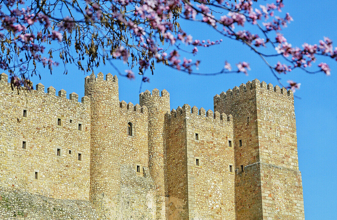 Schloss (heute ein staatliches Hotel), alte arabische Alcazaba. Sigüenza. Provinz Guadalajara, Spanien