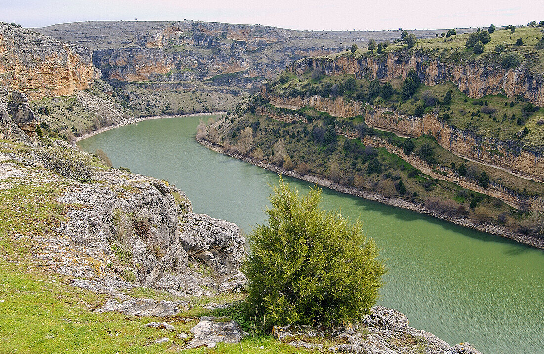 Hoces del Duratón Natural Park. Segovia province, Spain