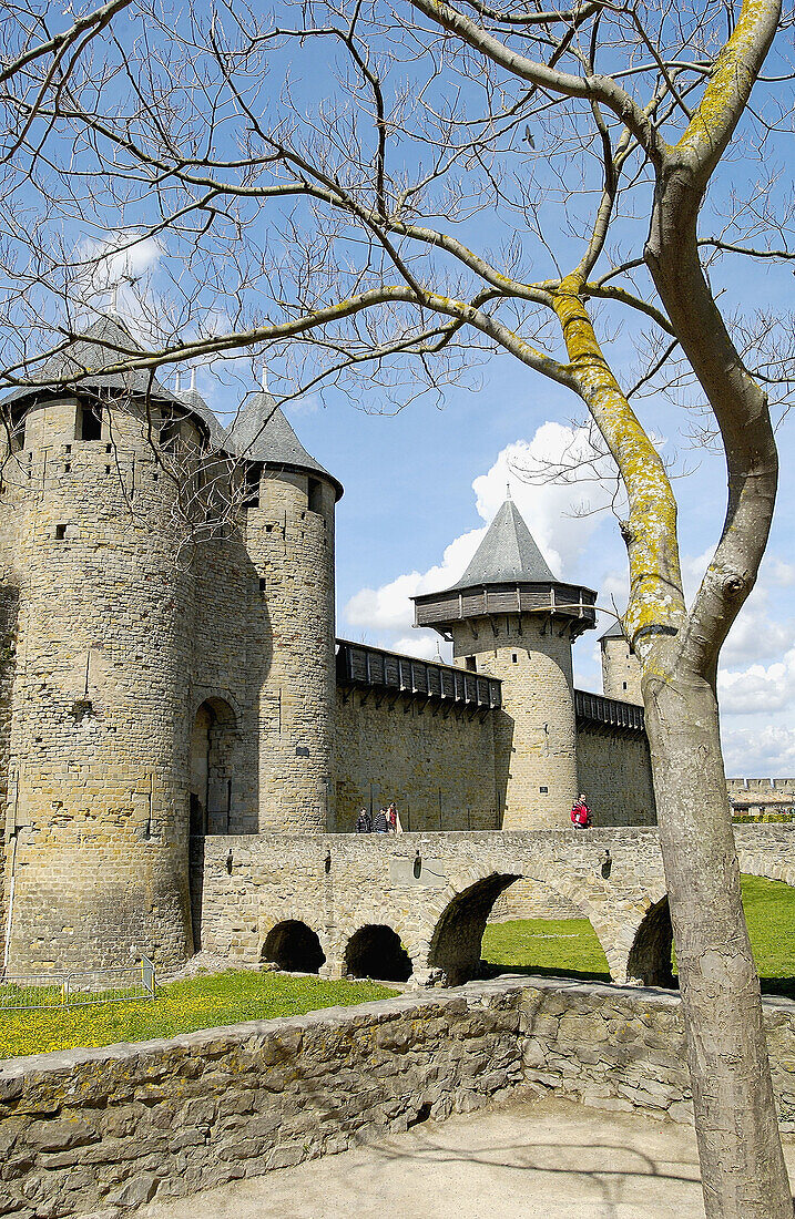 La Cité, Carcassonne medieval fortified town. Aude, Languedoc-Roussillon, France