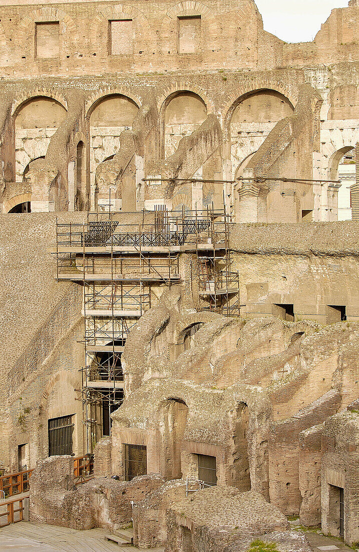 Colosseum. Rome. Italy