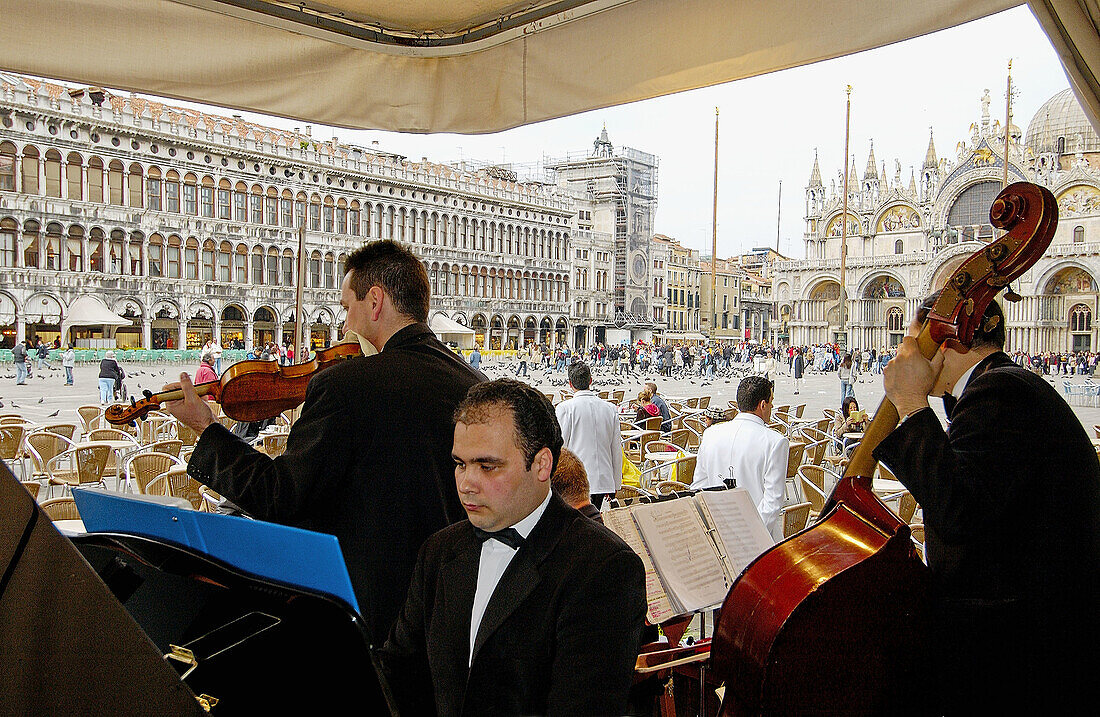 Markusplatz. Venedig. Venetien, Italien