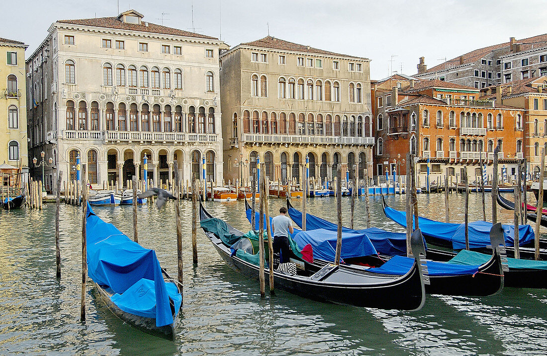 Großer Kanal. Venedig. Venetien, Italien