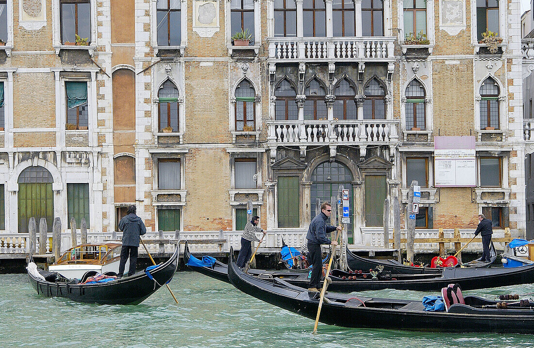 Großer Kanal. Venedig. Venetien, Italien