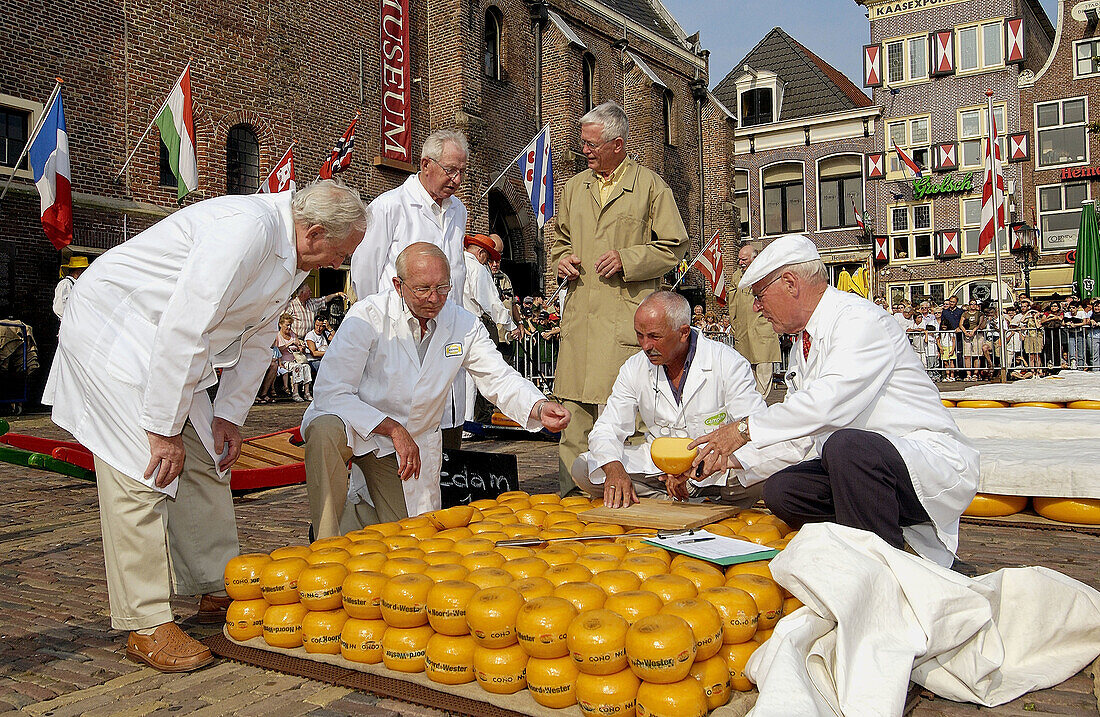 Käsemarkt, De Waag. Alkmaar. Niederlande