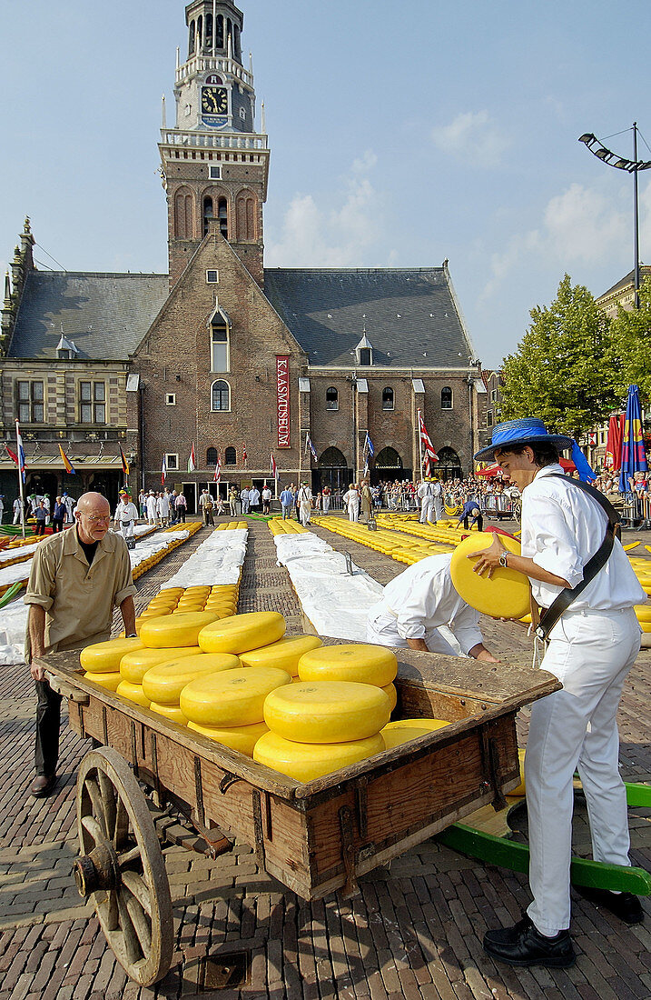 Cheese market, De Waag. Alkmaar. Netherlands