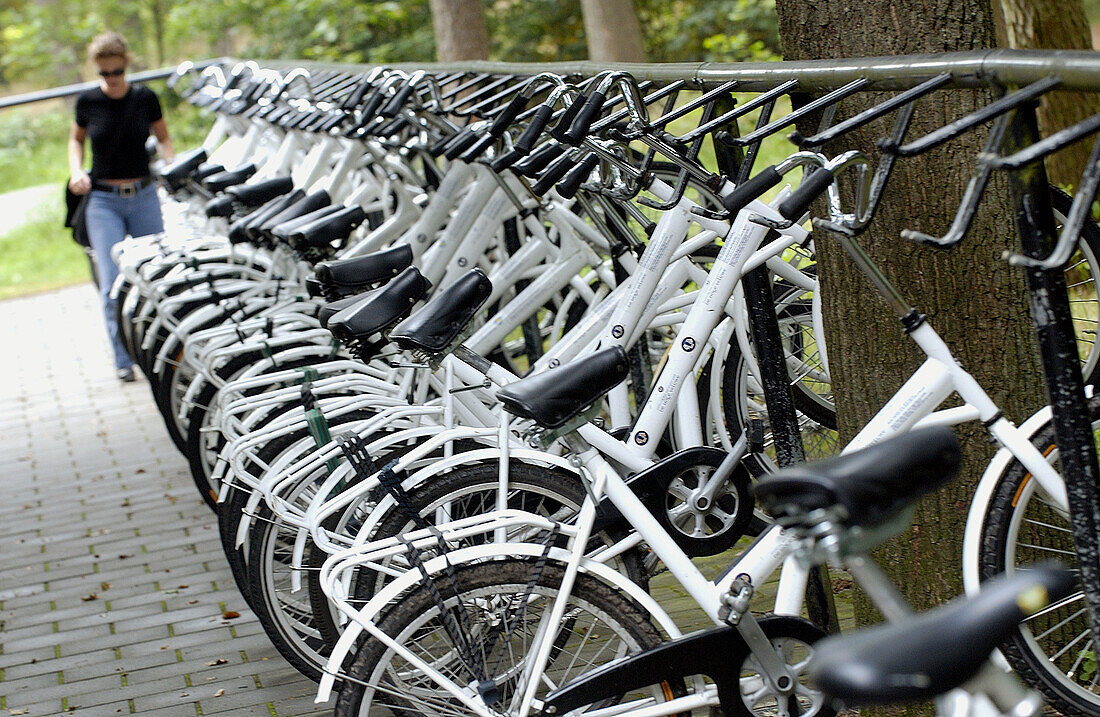 Bike parking, Het Nationale Park De Hoge Veluwe. Gelderland, Netherlands