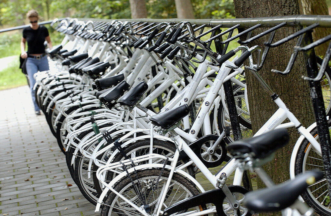 Fahrradparkplatz, Het Nationale Park De Hoge Veluwe. Gelderland, Niederlande