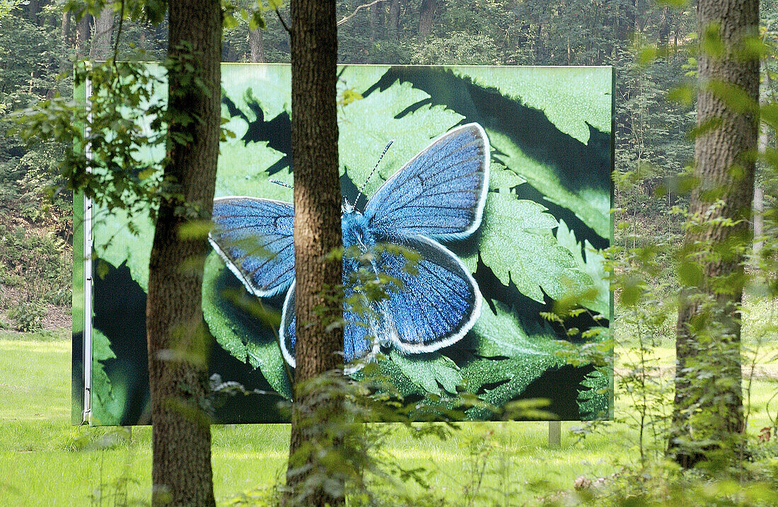 Garten des Kröller-Müller-Museums, Het Nationale Park De Hoge Veluwe. Gelderland, Niederlande