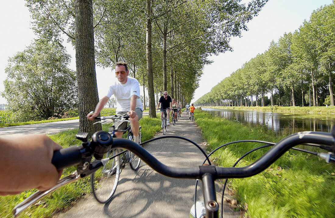 Tourists riding bicycles by canal to Damme, Brugge. Flanders, Belgium