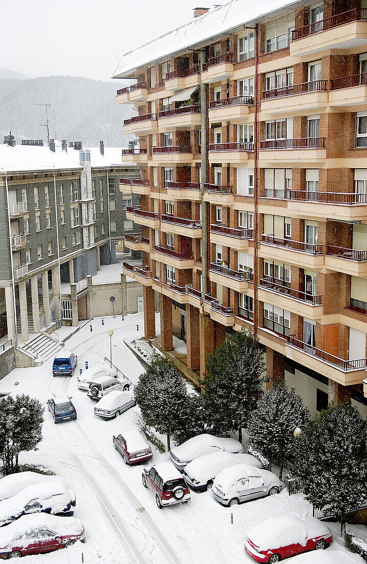 Schneefall. Legazpi, Gipuzkoa, Euskadi.