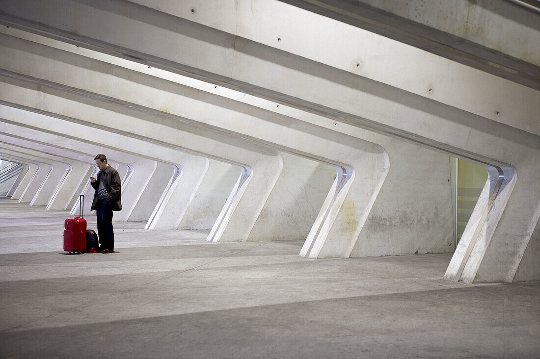 Loiu airport of Bilbao by Santiago Calatrava, Bilbao. Euskadi, Spain