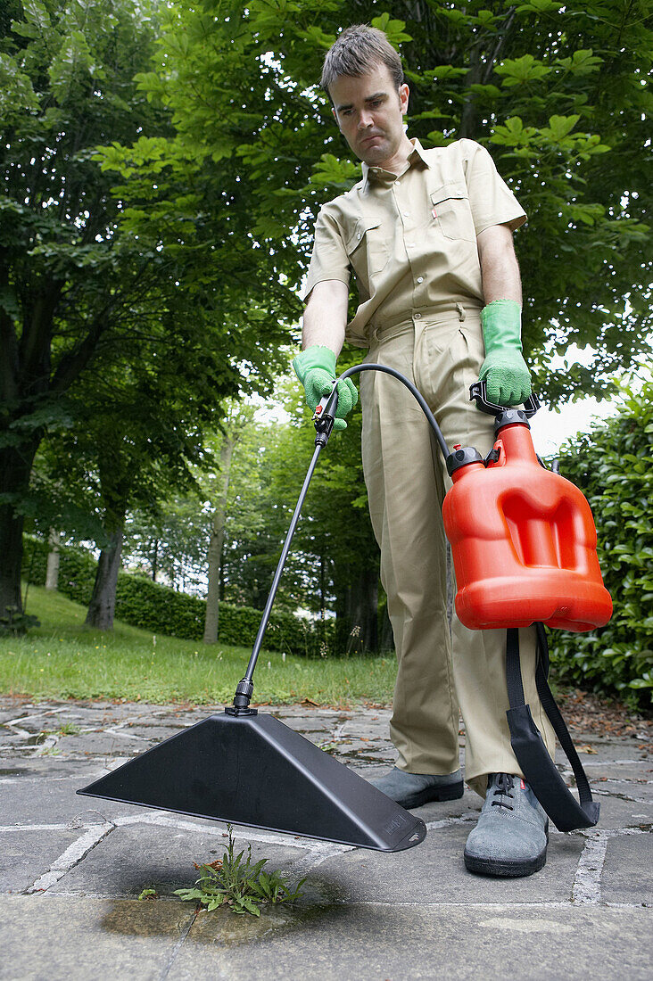 Gardener applying herbicide with bell sprayer.
