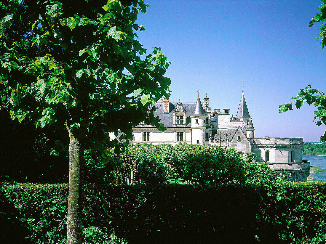 Château Amboise and Loire River. Val-de-Loire. France