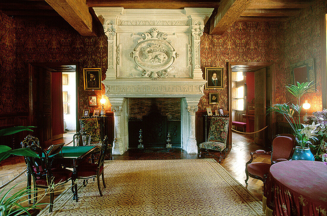 Interior room of Azay-le-Rideau castle. Touraine, Val-de-Loire. France