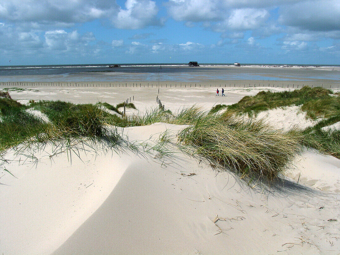 Sand dune, sand-mud flat, tide