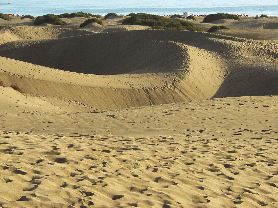 Sand dunes, Oasis Maspalomas, Gran Canaria, Canary Islands, Spain