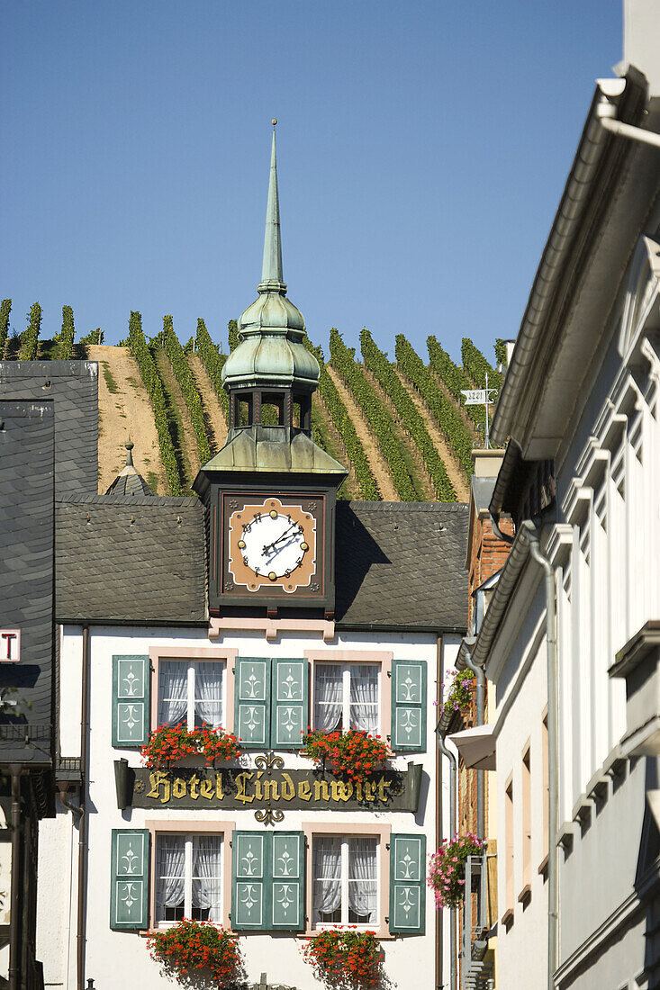 Popular wine town Rudesheim, Rhein River, Germany
