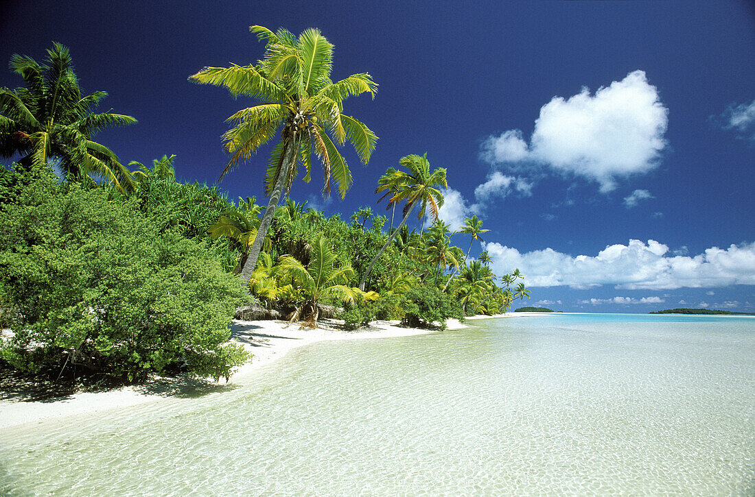  Beach, Beaches, Blue, Blue sky, Calm, Calmness, Chill out, Chilling out, Clear, Color, Colour, Concept, Concepts, Daytime, Exterior, Green, Heat, Heavenly, Holiday, Holidays, Horizon, Horizons, Horizontal, Limpid, Nobody, Outdoor, Outdoors, Outside, Palm