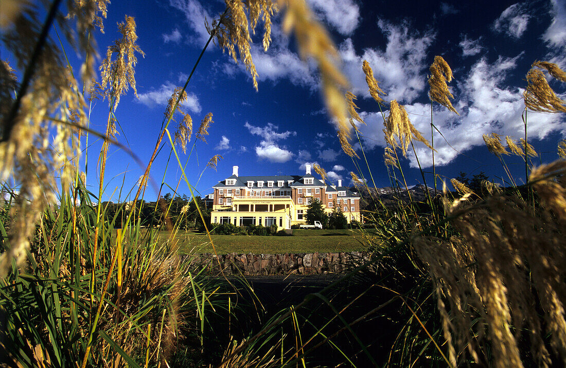 View through blades of grass at Bayview Chateau Tongariro, Tongariro National Park, Nordinsel, Neuseeland