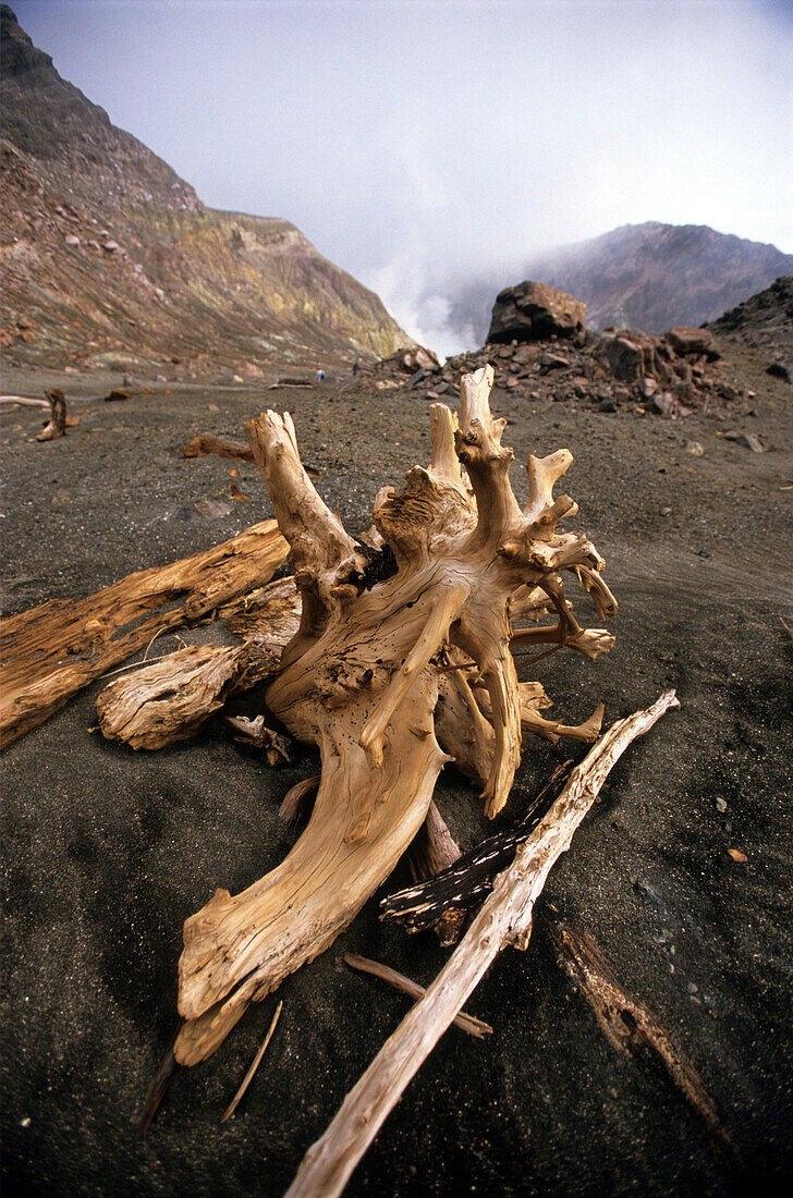 Treibholz auf White Island, Nordinsel, Neuseeland