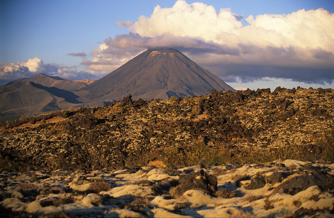 View over barren landscape to Mt.Ngauruhoe, Tongariro National Park, North Island, New Zealand