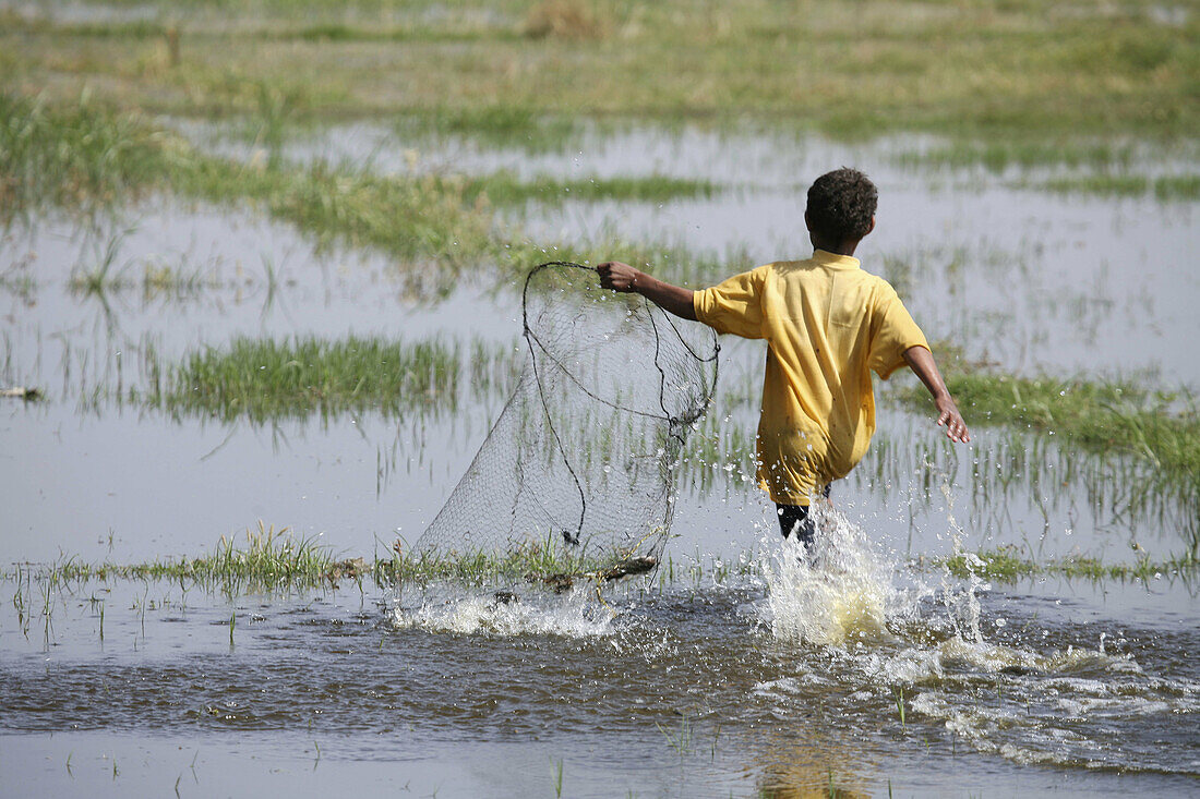 Young boy catching small fishes with a home made net. River Nile between Qena and Luxor. Upper Egypt