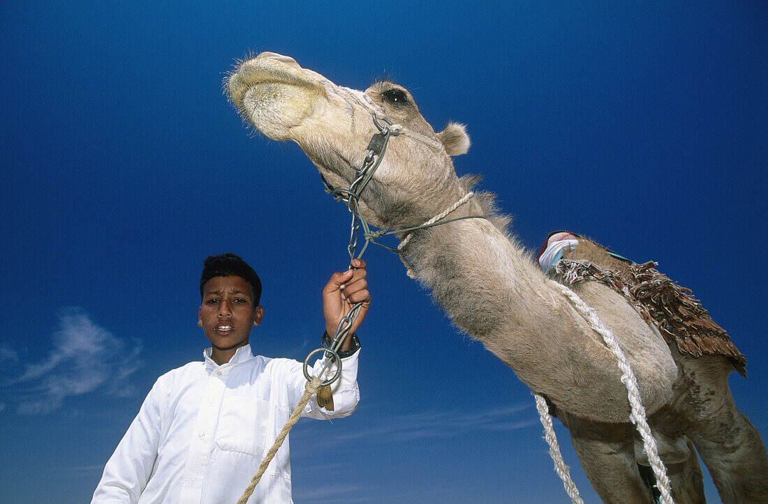 Young Bedouin. Sinai desert, Egypt