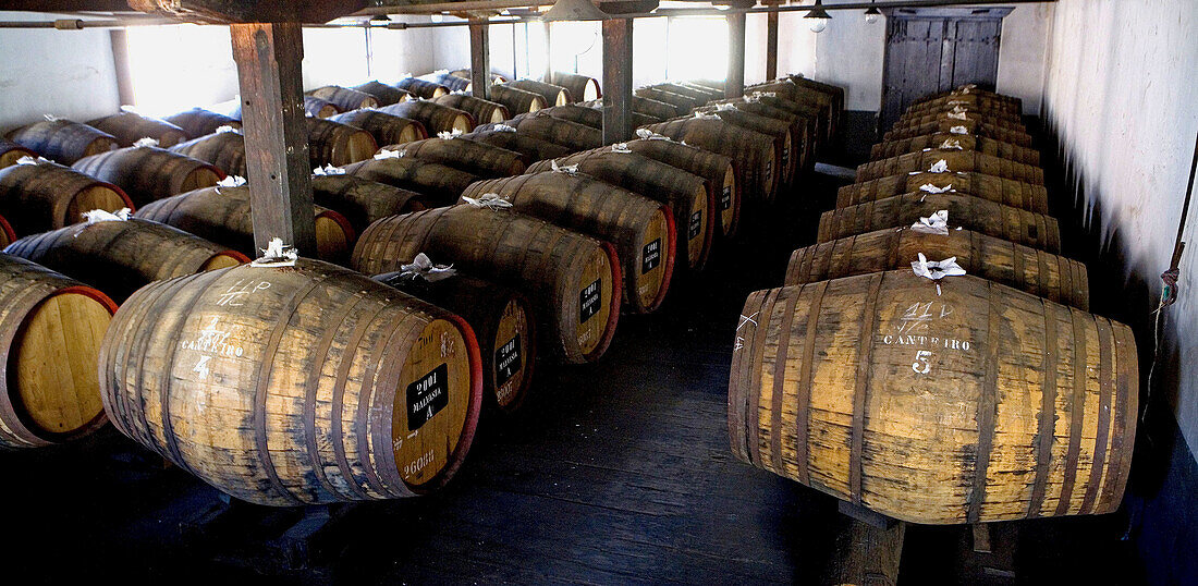 The Blandy s cellars of Madeira wines in Funchal. Island of Madeira. Portugal