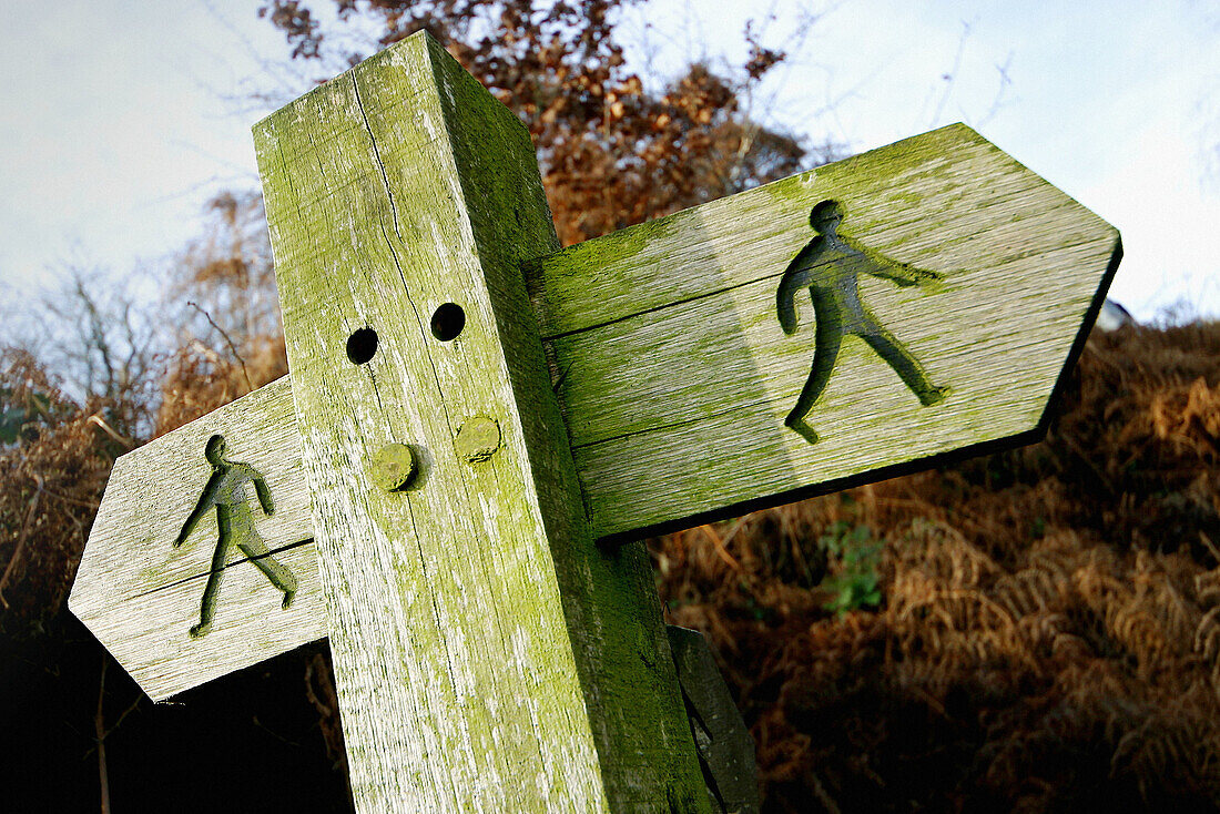  Alt, Aussen, Außen, Detail, Details, Farbe, Holz, Hölzern, Horizontal, Konzept, Konzepte, Land, Mast, Masten, Pfeil, Pfeile, Richtung, Schild, Schilder, Symbol, Symbole, Tageszeit, Wandern, B08-305564, agefotostock 