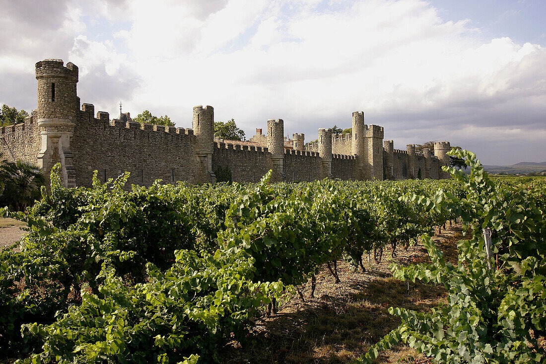 Chateau Grezan. Vineyard. Languedoc. France.
