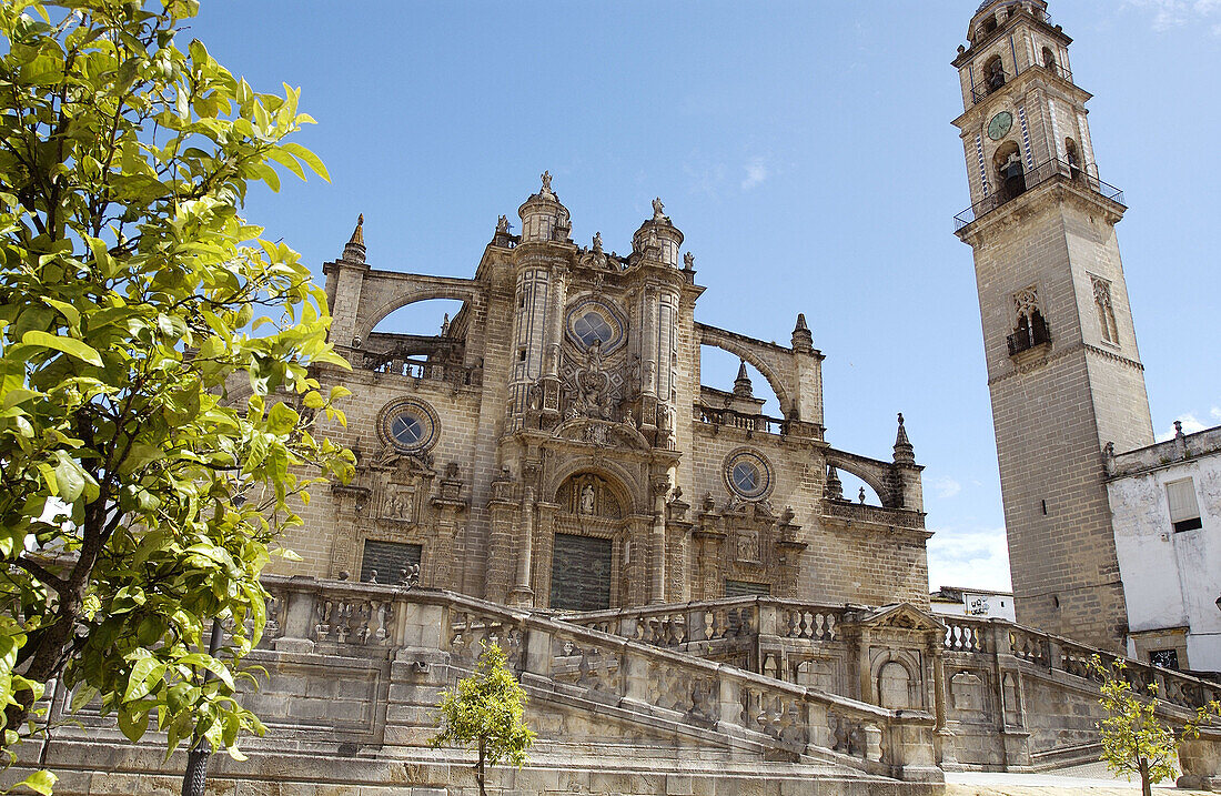 Kathedra (erbaut im 17. Jahrhundert). Jerez de la Frontera. Provinz Cádiz. Spanien