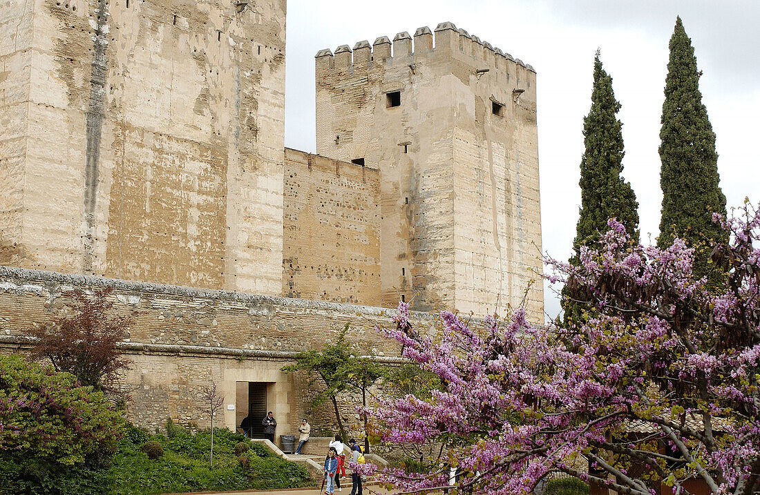 Alcazaba, Alhambra. Granada. Spain