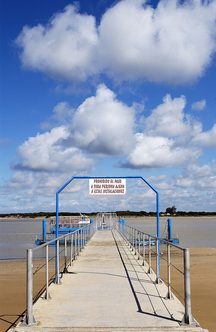 Strand Bajo de Guía, in der Nähe der Mündung des Guadalquivir. Sanlúcar de Barrameda. Provinz Cádiz. Andalusien. Spanien